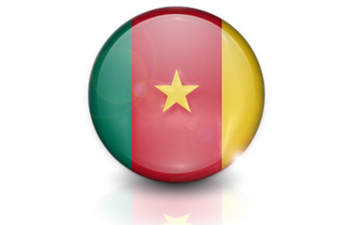 Cheap international calls to Cameroon